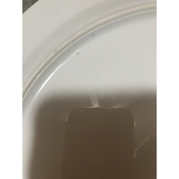 Rare set of two 10.5’ Croydon
by NORITAKE Plates Shabby Chic Plates-5908 pattern - Picture 10 of 13